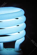 Compact Fluorescent Lamp