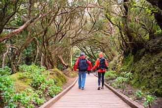 Sporty tourist couple on hiking trail, Anaga Rural Park Tenerife Canary Islands