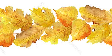 Watercolor hand drawn seamless horizontal border of autumn fall illustration small elements for thanksgiving design
