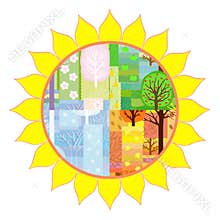 Four seasons in the sunflower