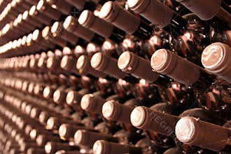 Wine cellar