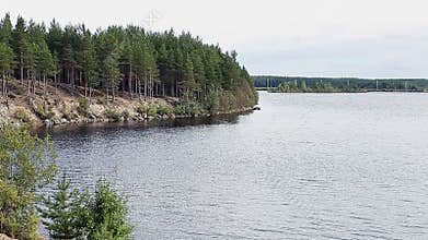 Big lake the Vyg with shore in evergreen forests of Karelia in Russia