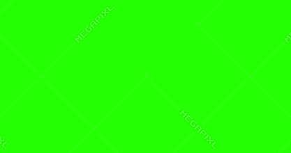 Abstract paint brush stroke shape white ink splattering flowing and washing on chroma key green screen, ink splatter splash effect