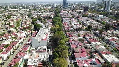 Aerial traveling over a street with trees in Chapalita neighborhood in Guadalajara
