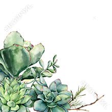 Watercolor card with bouquet of succulents and coniferous branch. Hand painted green and violet cacti isolated on white