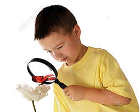 Checking out the Butterfly