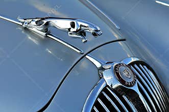An old jaguar car symbol