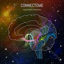 Neuroscience infographic on space background. Brain cells connectome concept.Neural network, neurons forming a complex map for