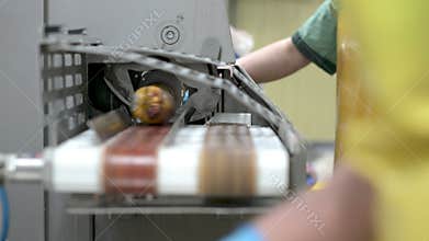 Sausage factory meat production industry