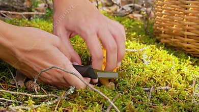 Young woman picking mushrooms in autumn forest