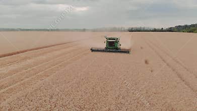 Harvester machine to harvest wheat field working. Combine harvester agriculture machine harvesting golden ripe wheat