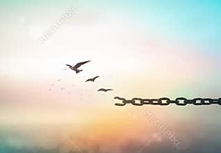 Birds Flying From Broken Chains for Ultimate Freedom and Emotional Healing Concept