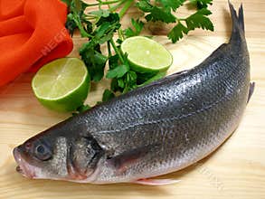 Sea bass with lime