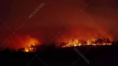 Forest fire disaster is burning.