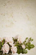 Abstract vintage flower paper background