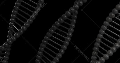 Science Creation Looping with New Scientific Discovery Concept