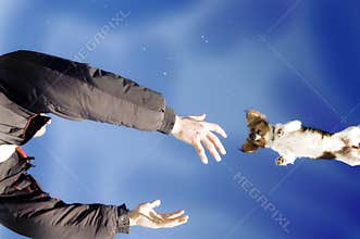 Flying dog