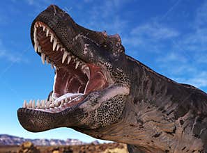 Predatory dinosaur