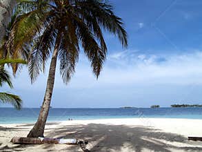 Caribbean tropical white sand beach