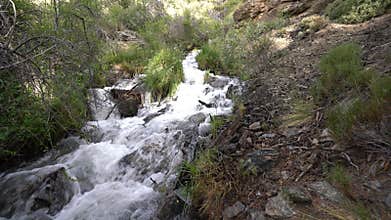 Crystal clear water flowing down the mountain
