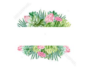 Watercolor cactus and succulent plants botanical invitation party isolated on white background for your projects, greeting cards ,
