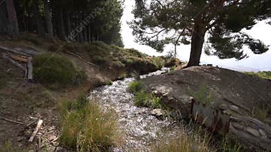 Crystal clear water flowing down the mountain