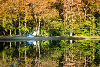 Campsite by a small pond
