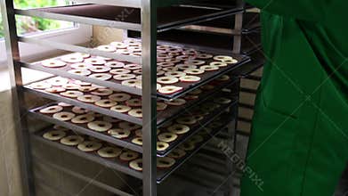 Workers lay sliced apples on tray. Carry tray with apples