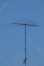 Television Antenna