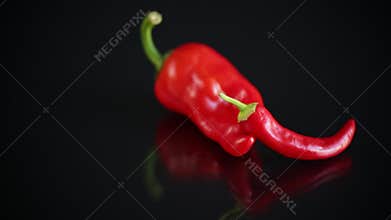 Two hot spicy cayenne peppers on black background
