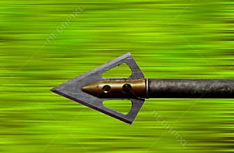 Flying Arrow