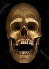 Skull on black