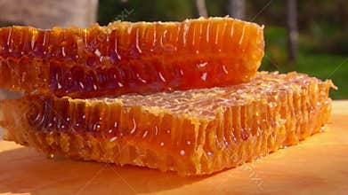 Sweet honeycombs full of honey lie on wooden board