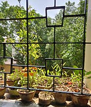 Garden view from home window