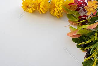 Autumn composition. Autumn flowers and leaves, acorn, pine cone, anise star. Flat lay, top view, copy space