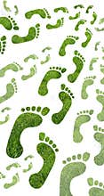 Eco footprint