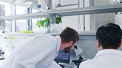 Scientist and his assistant working in lab. Doctor teaching intern to make analyzing research. Laboratory tools