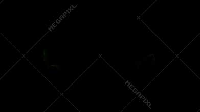 Pack Of Halloween Sorcery Magic Trick Fx Clip