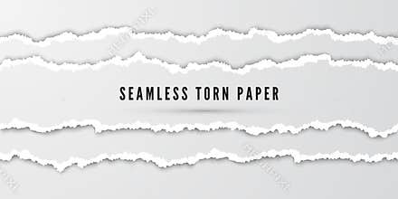 Seamless torn paper stripes. Paper texture with damaged edge. Tear paper borders. Vector illustration