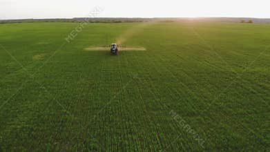 Aerial view of farming tractor spraying on field with sprayer, herbicides and pesticides at sunset. Farm machinery