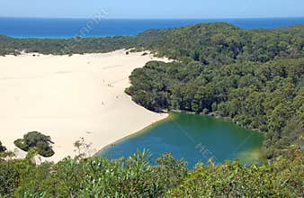Lake Wabby, Fraser Island, Australia