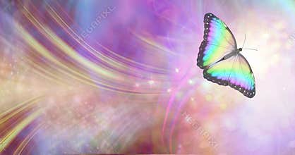 Transformation and spiritual release concept