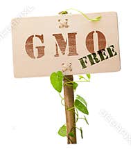 GMO free sign