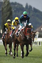 65. Tattersalls St. Leger - horse racing in Prague