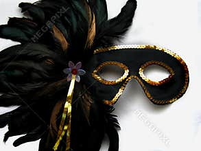Mardi Gras Mask