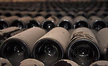 Wine Bottles