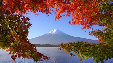 Mountain fuji with red maple in Autumn, Kawaguchiko Lake, Japan