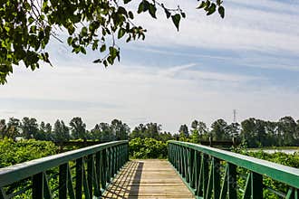 East Richmond Trail in Fraserwood Park British Columbia Canada.