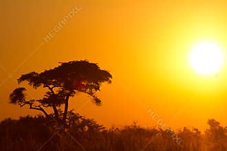 Africa sunset
