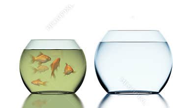 Goldfish Escapes Polluted and Overpopulated Aquarium, Beautiful 3d Animation, 4K
